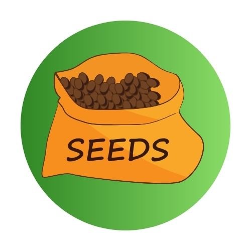 seeds