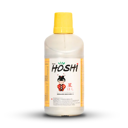hoshi