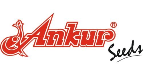 Ankur Dolichos Hritu 250gm