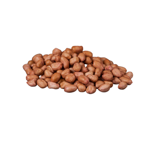 Ankur ground nut