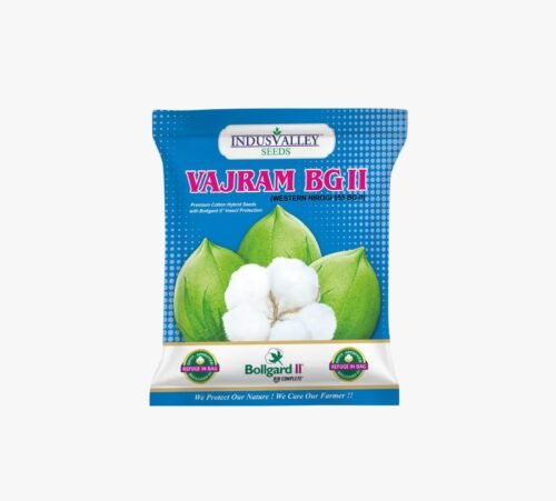 vajram bg 2